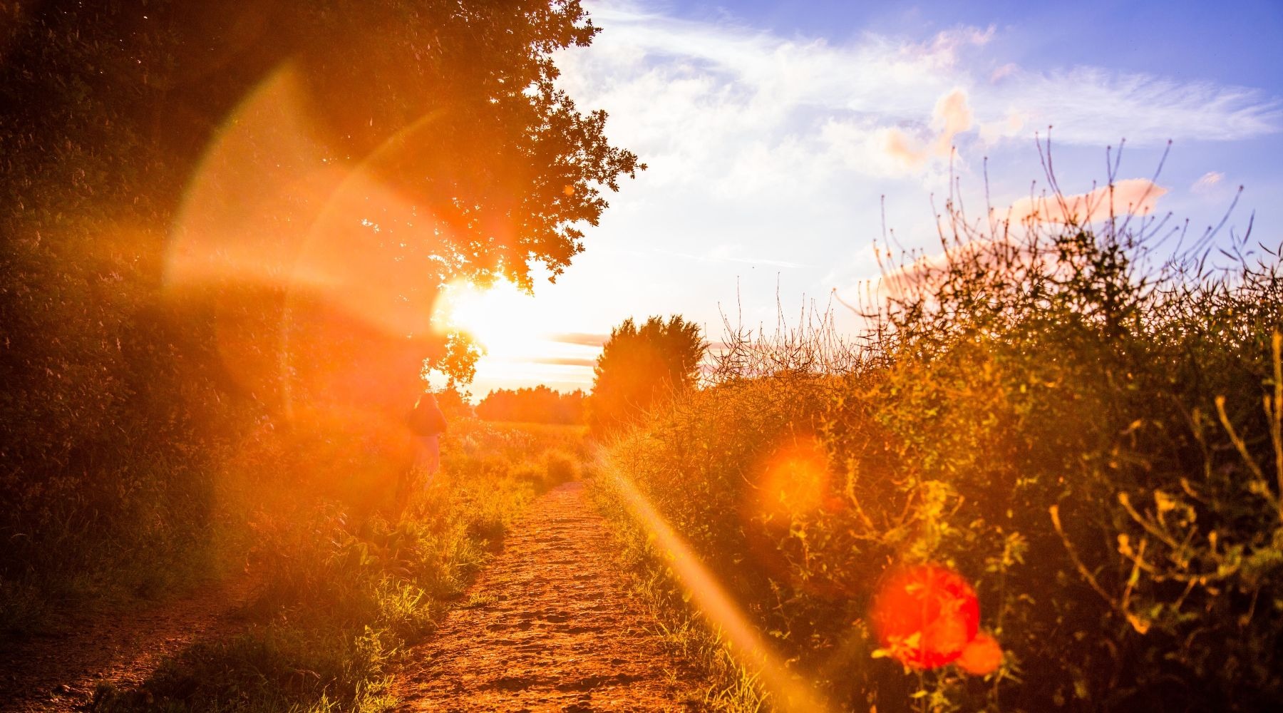 Why is vitamin D so important?